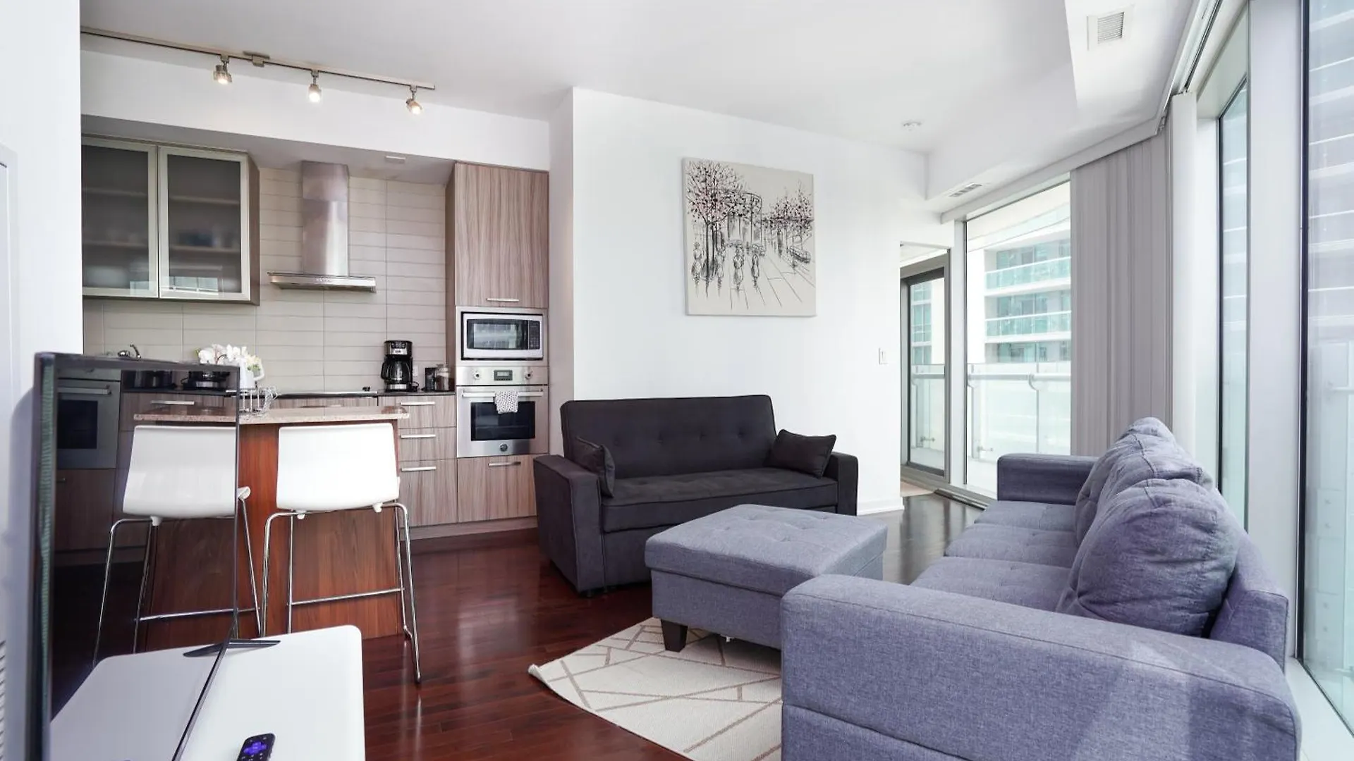 Apartment Downtown Toronto Condo 2 Bedrooms With Parking Near Rogers Center
